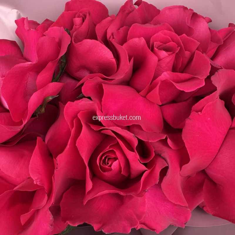 Безграничность нежности