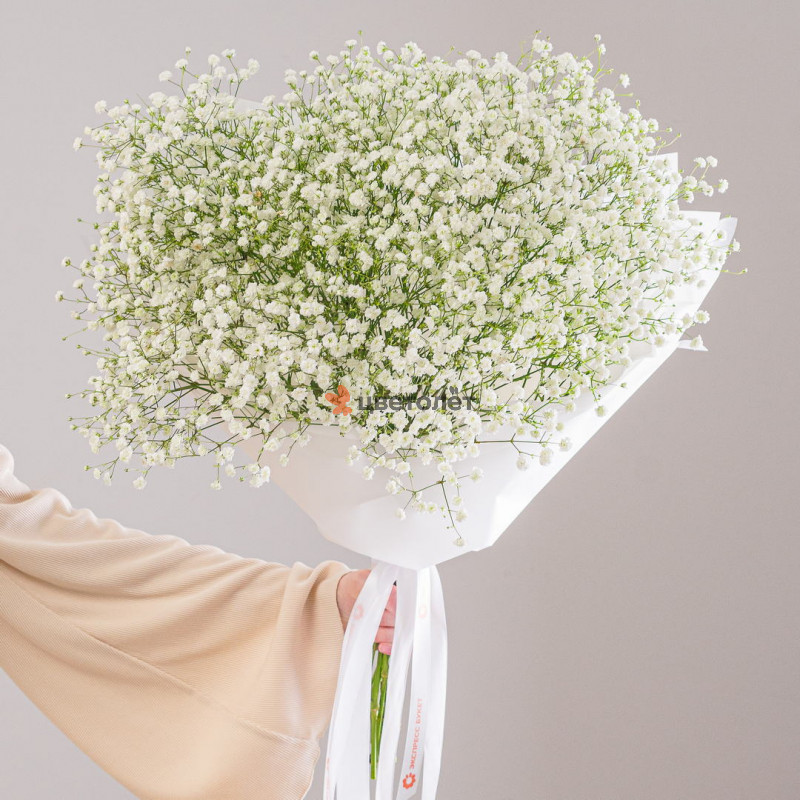 Букет из 11 белых гипсофил