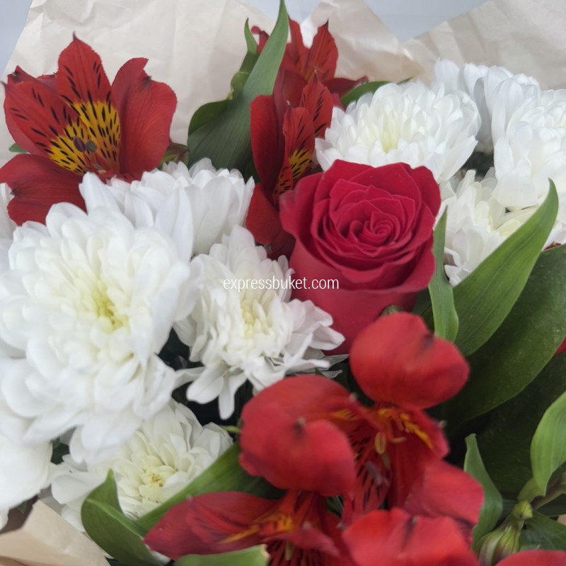 Зимняя вишня