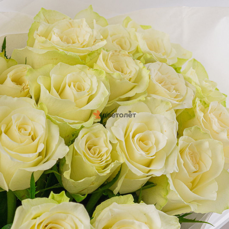 Букет из 15 белых роз 40 см