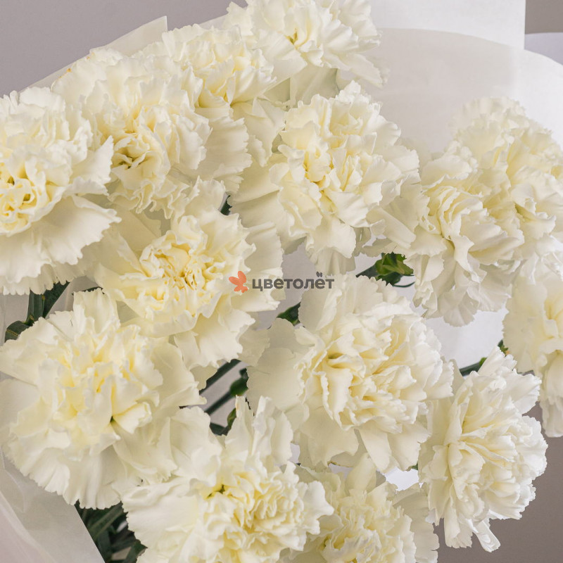 По-своему нежный 15шт