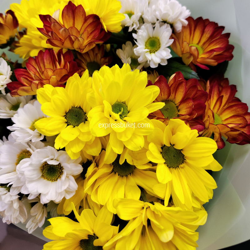 Букет из 9 разноцветных хризантем